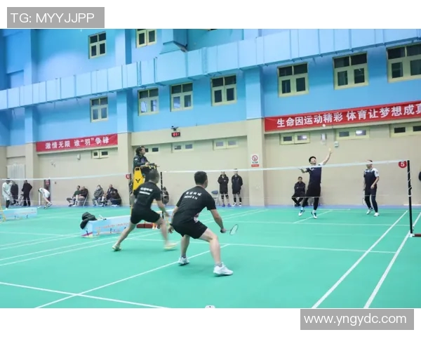 陈磊独家分享网球心得与技巧助你提升球技的全方位指南