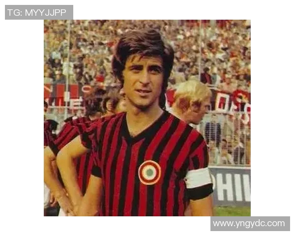 马德里足球明星的传奇故事与辉煌成就探秘